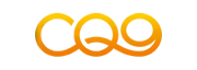 Visa Logo
